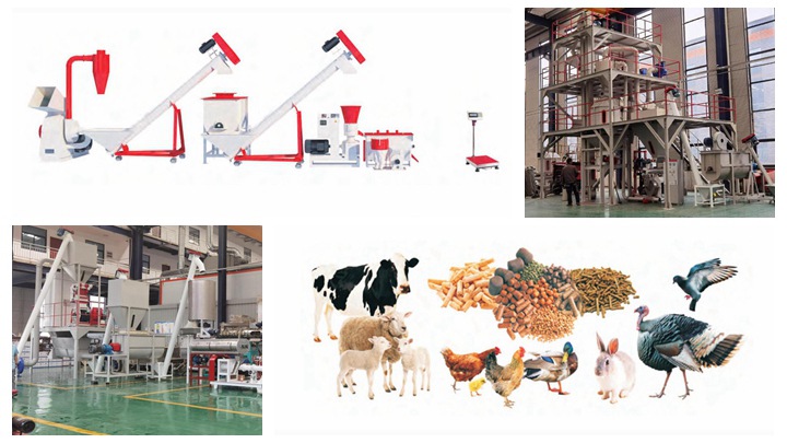 Assam rabbit feed pellet machine